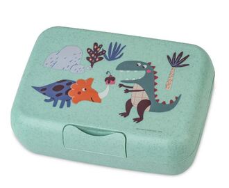 Koziol Lunchbox mit Trennschale Rex