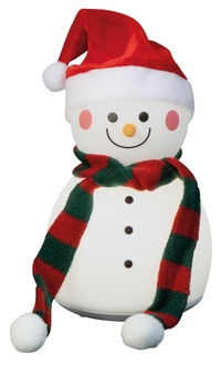 Nachtlicht Paule Schneemann